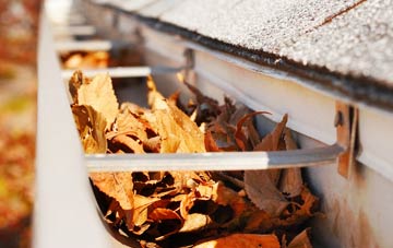 Mansfield gutter cleaning companies