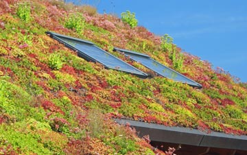 Mansfield living roof systems