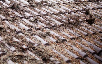 Mansfield roof cleaning companies